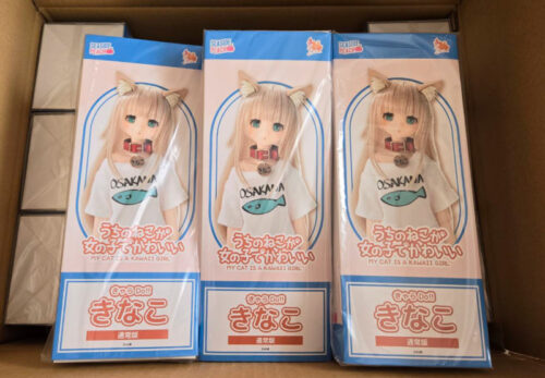 うちのねこが女の子でかわいい 1/6 きなこ ドール 通常版 出荷のお知らせ